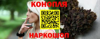 стаф Брянск