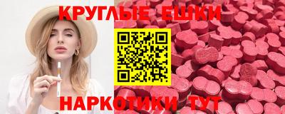 стаф Брянск